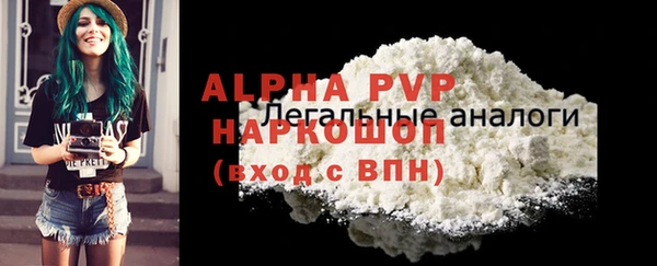 гидра Бородино
