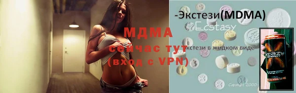 гидра Бородино