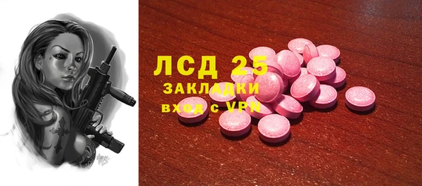 прущие грибы Домодедово