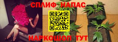 МДПВ Беслан