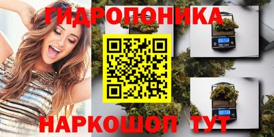 эйфоретик Берёзовский