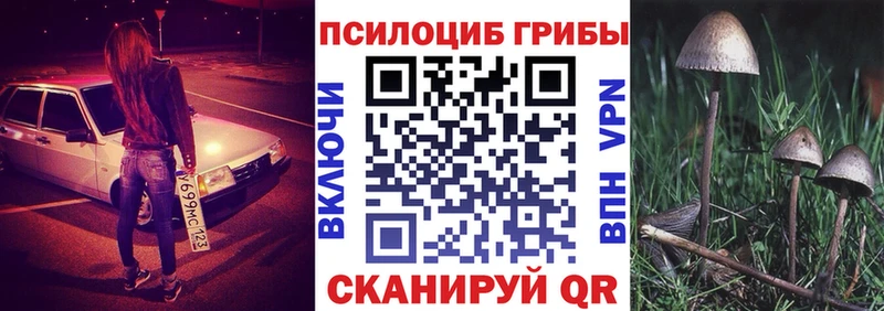 Галлюциногенные грибы Psilocybine cubensis дарк нет официальный сайт Горно-Алтайск