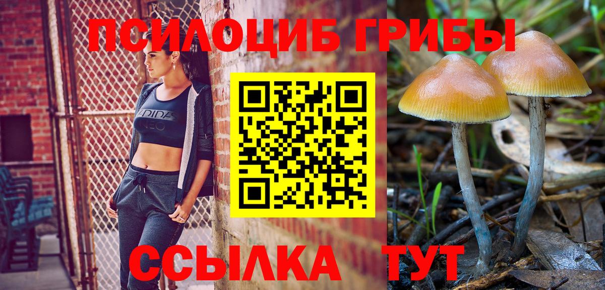 Галлюциногенные грибы GOLDEN TEACHER Горно-Алтайск